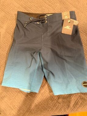 O'Neill Teal-to-Blue Gradient Board Shorts
